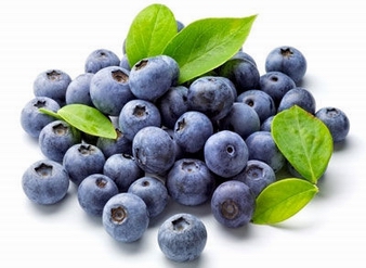 Blueberry Extract, Blueberry Leaf Extract