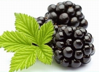 Blackberry Extract, Blackberry Fruit Powder, Black Raspberry
