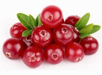 Cranberry Extract,Cranberry concentrate powder