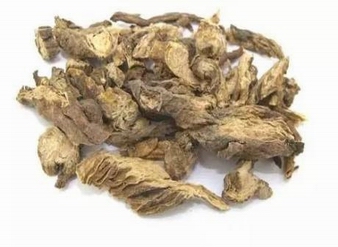 Pulsatilla chinensis Extract