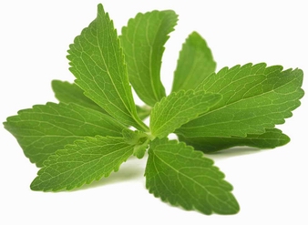 Stevia Leaf Extract,Stevia Extract Rebaudioside M