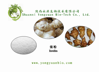 Chicory Root extract, Helianthus Tuberosus Extract,Inulin