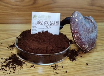 Reishi (broken shell) Spore Powder, Organic Reishi Spore Powder